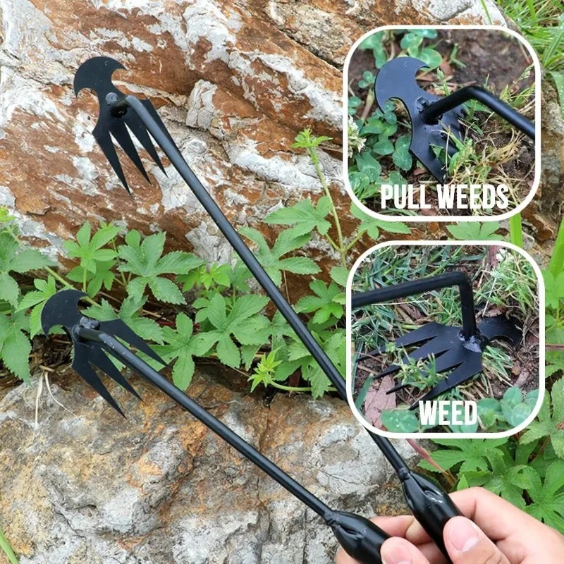 Grass Seed Spreader - Rastrello da Giardino 2 in 1