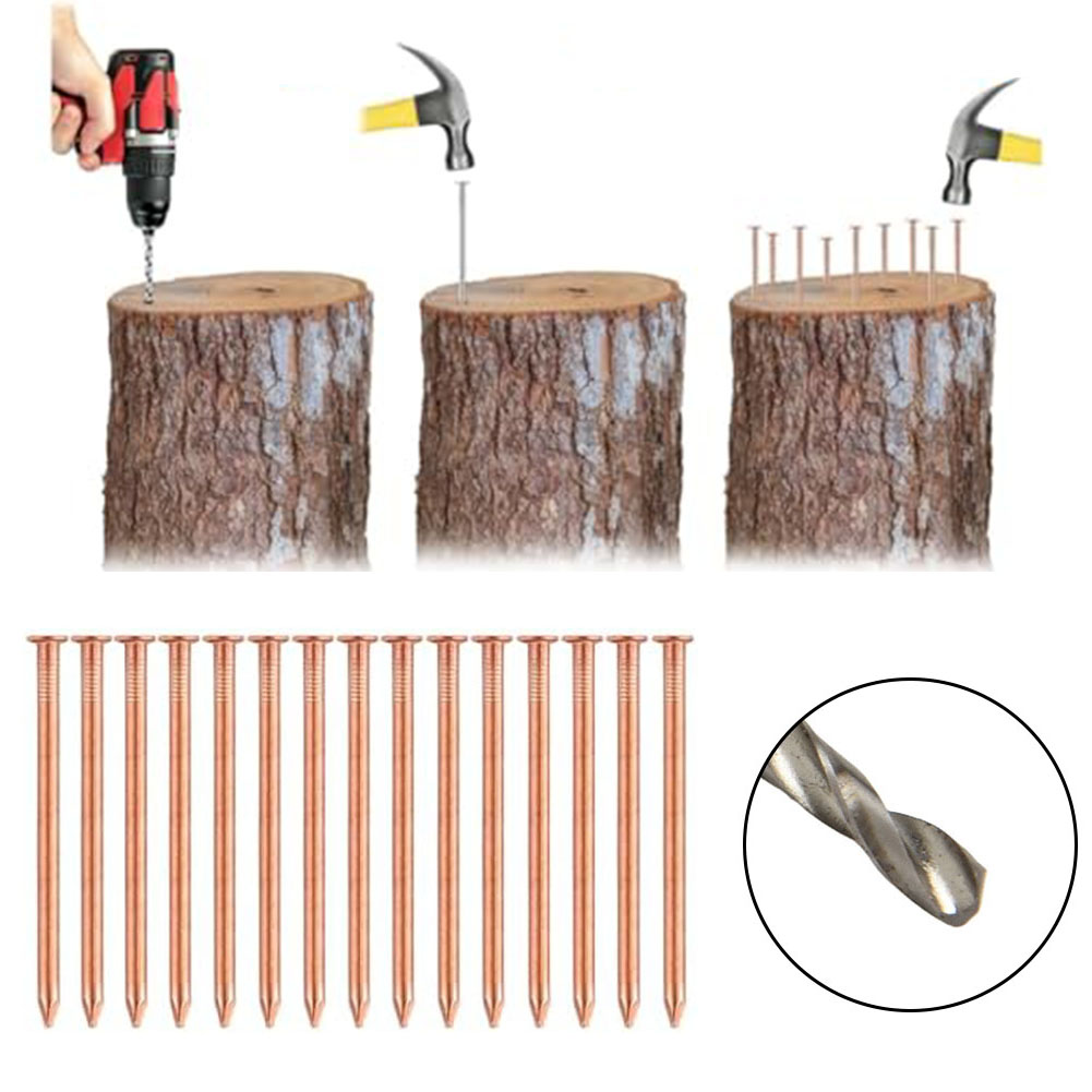 Gardening Tools Target - Chiodi in rame massiccio da 2
