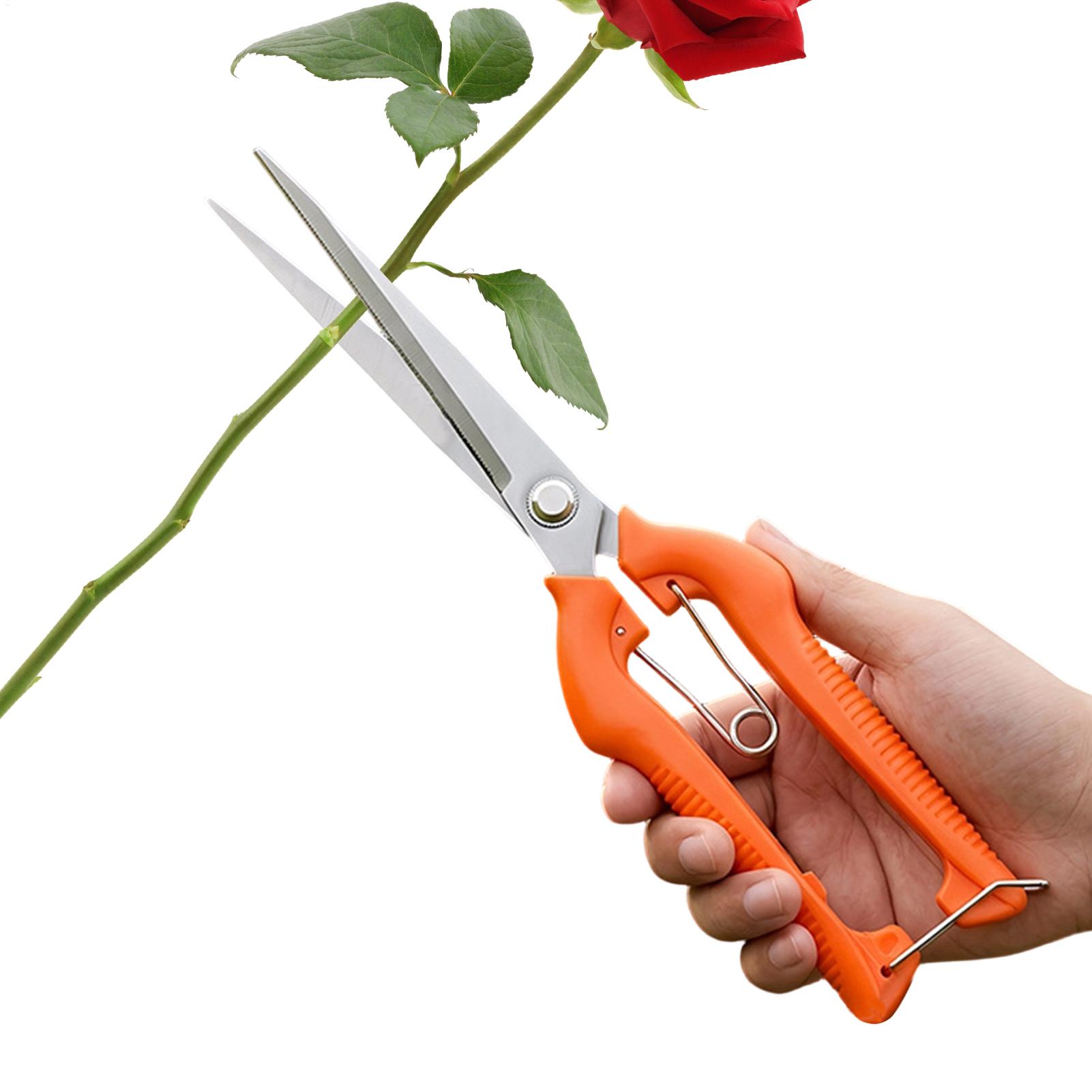 Gardening Tools Women - Forbici da Potatura Professionali in Acciaio