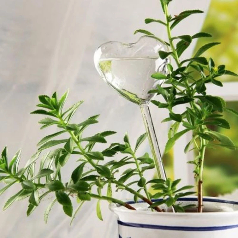Gardening Tools Equipment - Casa/giardino acqua pianta da appartamento vaso