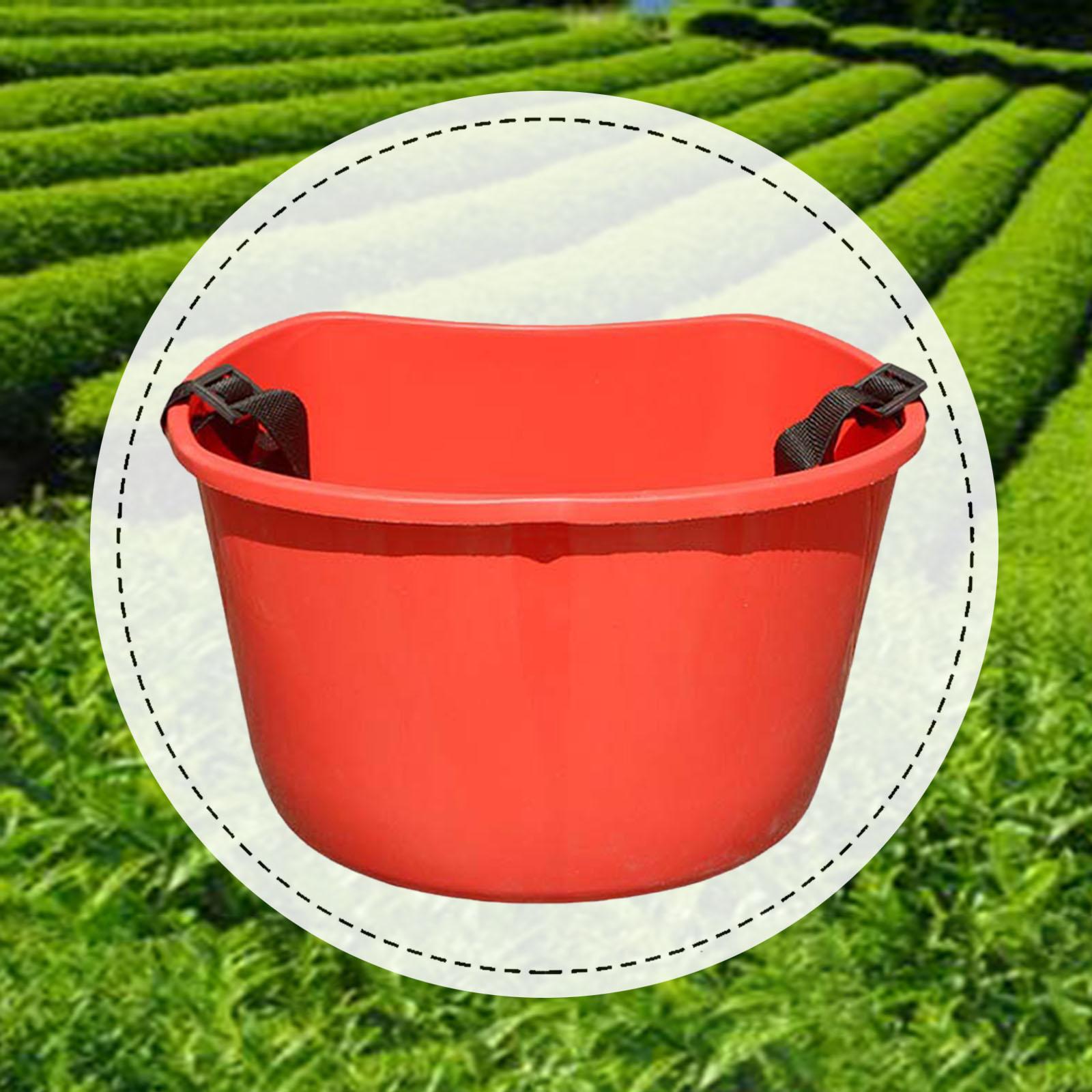 Cesto per la Raccolta, Attrezz - Gardening Tools Basket recensione e prezzo