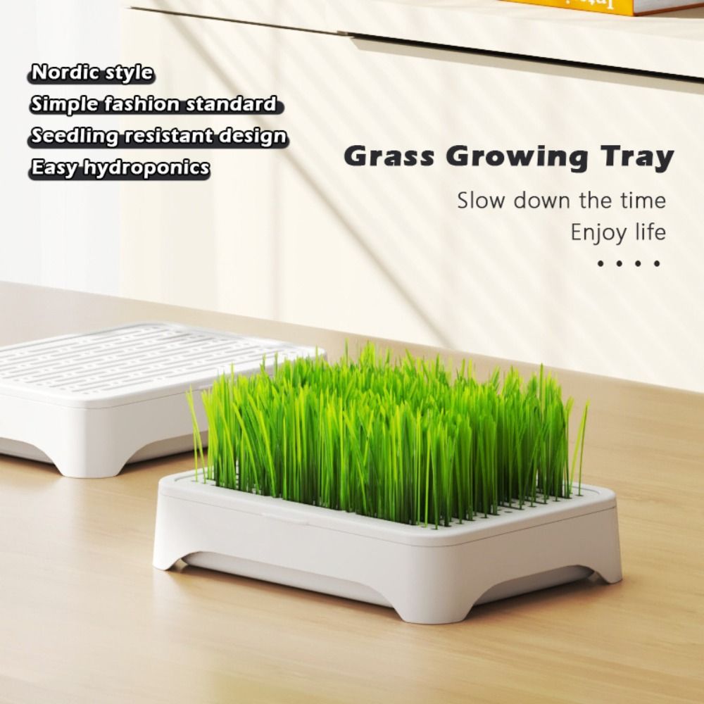 Vassoio per Semina Idroponica  - Grass Seed Spreader recensione e prezzo