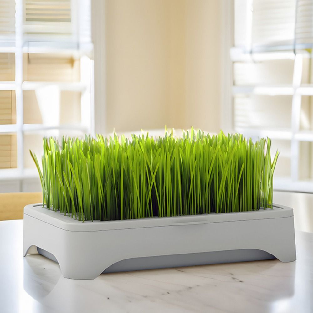 Vassoio per Semina Idroponica  - Grass Seed Spreader recensione e prezzo