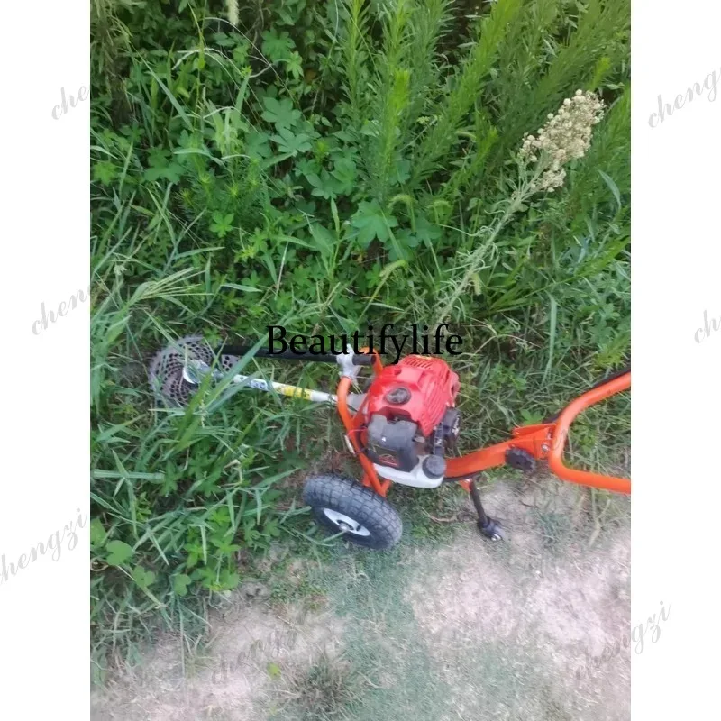 L178 Rasaerba a spinta manuale - Gardening Tools Equipment recensione e prezzo