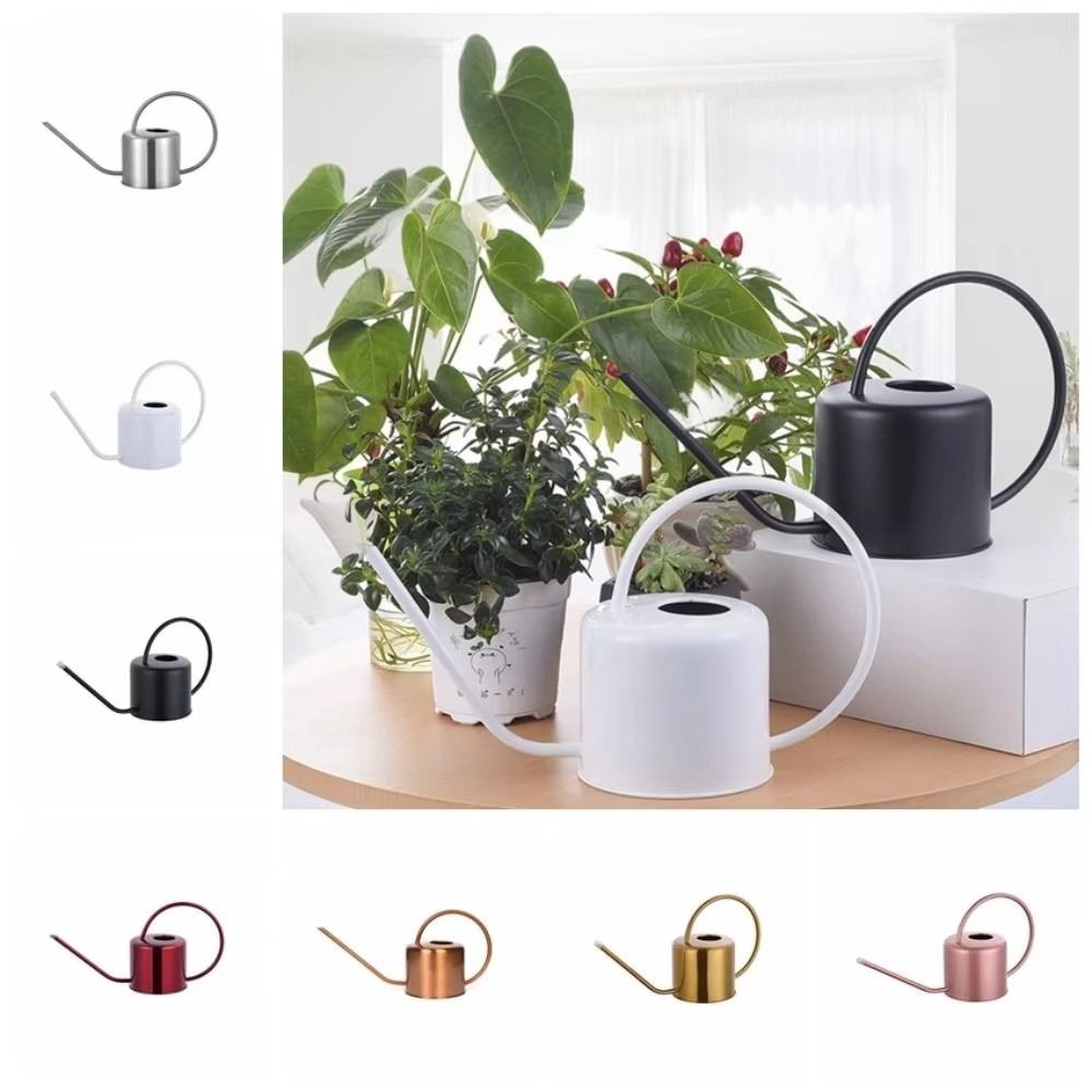 Annaffiatoio da 1,3L in Acciai - Watering Can Long Spout recensione e prezzo