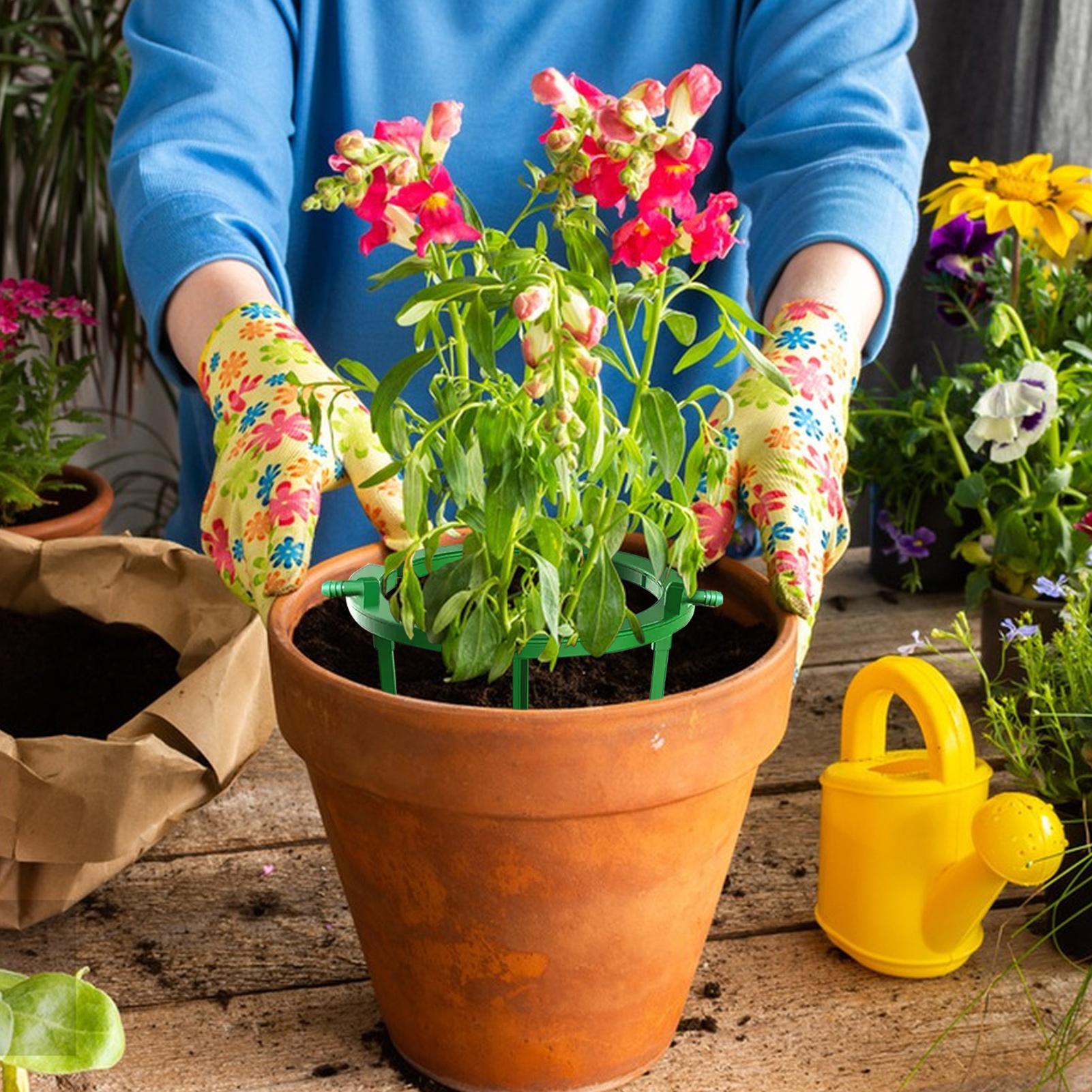 Anello per irrigazione a gocci - Gardening Tools Target recensione e prezzo