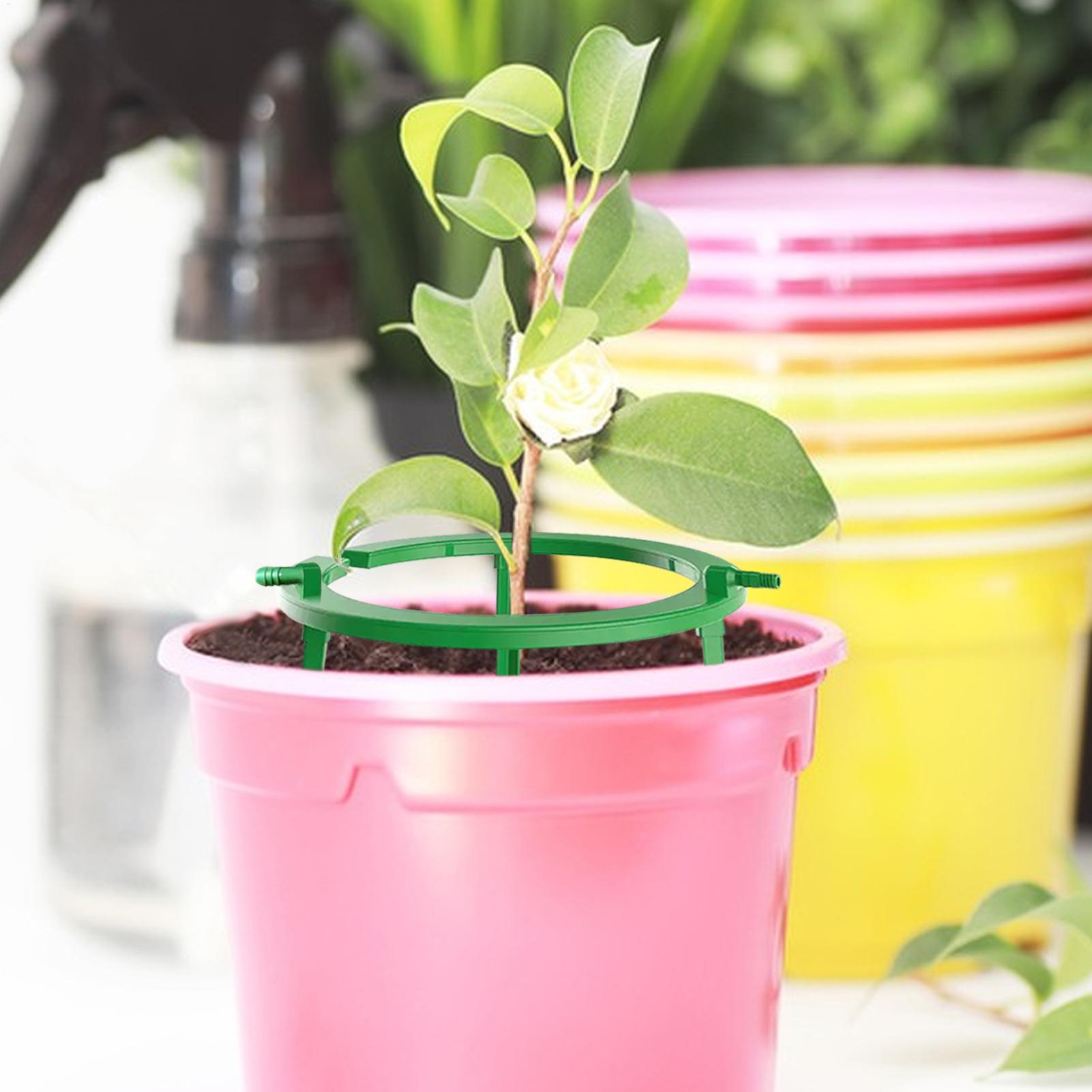 Anello per irrigazione a gocci - Gardening Tools Target recensione e prezzo