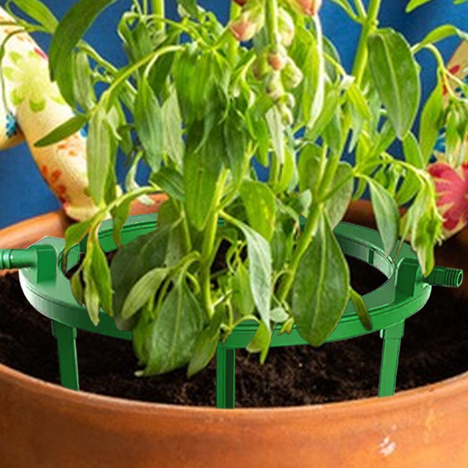 Anello per irrigazione a gocci - Gardening Tools Target recensione e prezzo