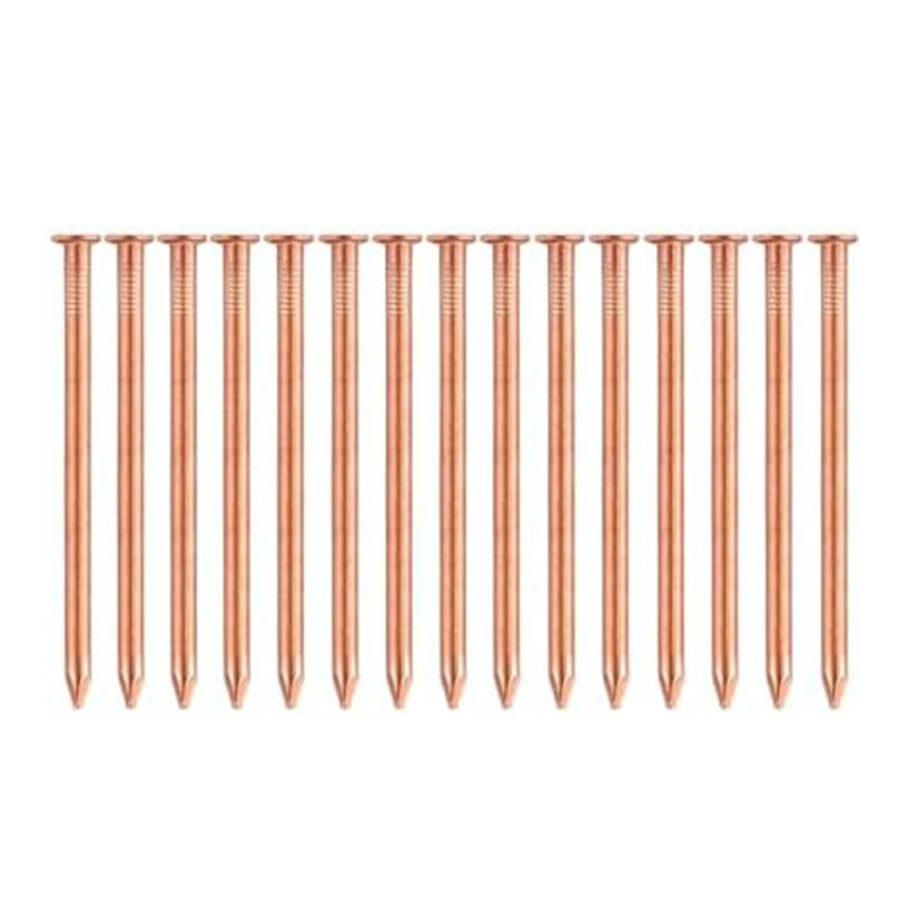 Chiodi in rame massiccio da 2  - Gardening Tools Target recensione e prezzo