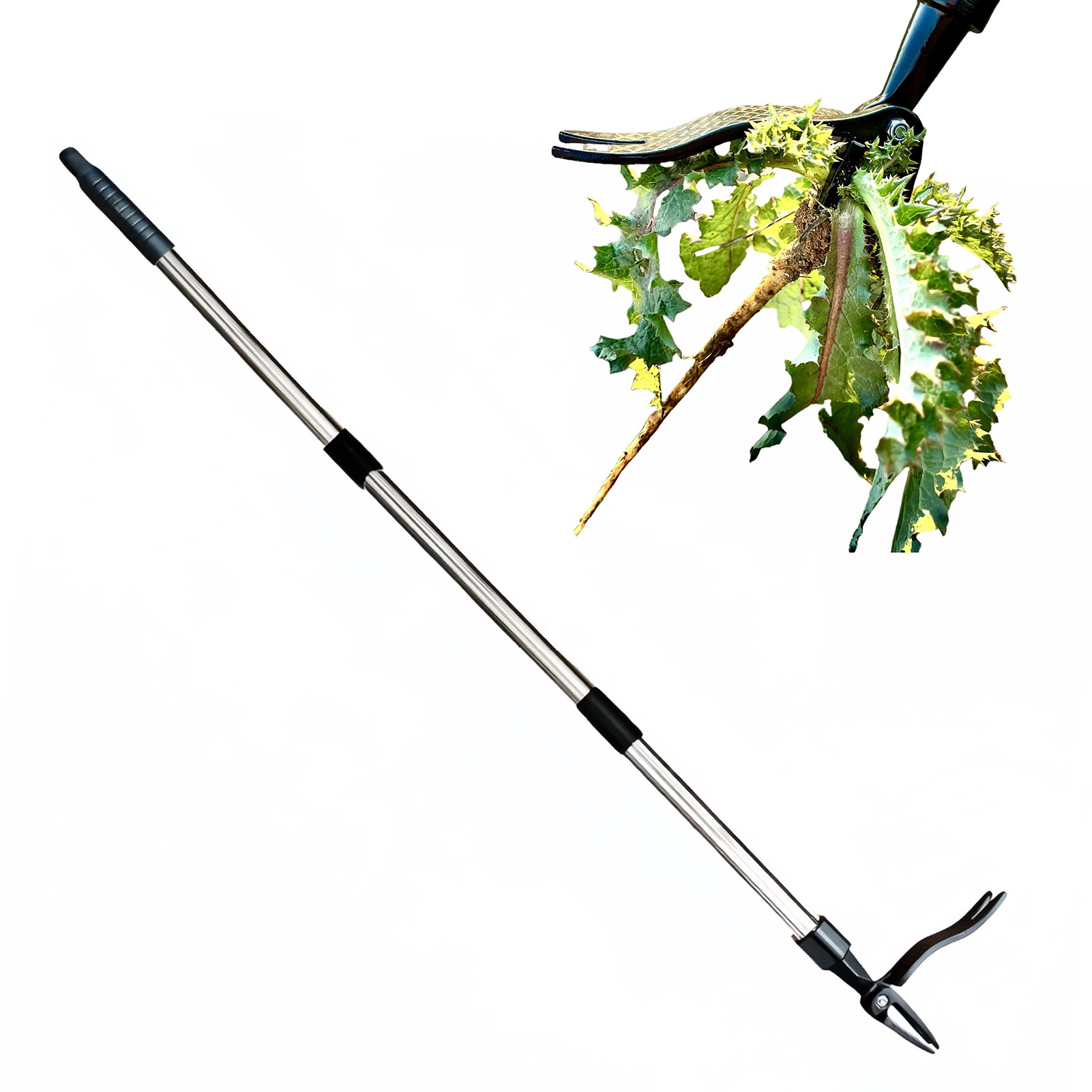 Estrattore per erbacce stand u - Grass Seed Spreader recensione e prezzo