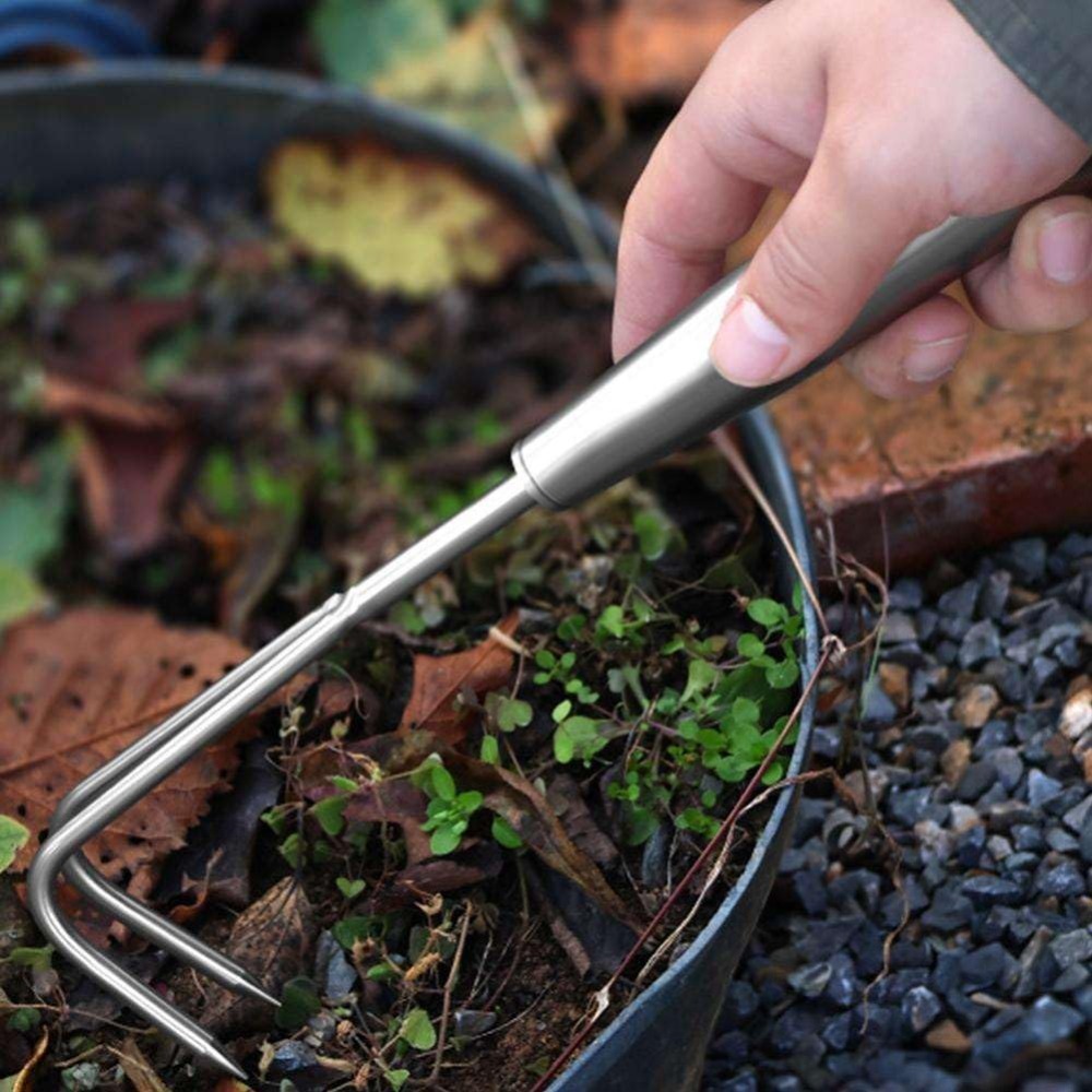Estrattore di erbacce in accia - Grass Seed Spreader recensione e prezzo