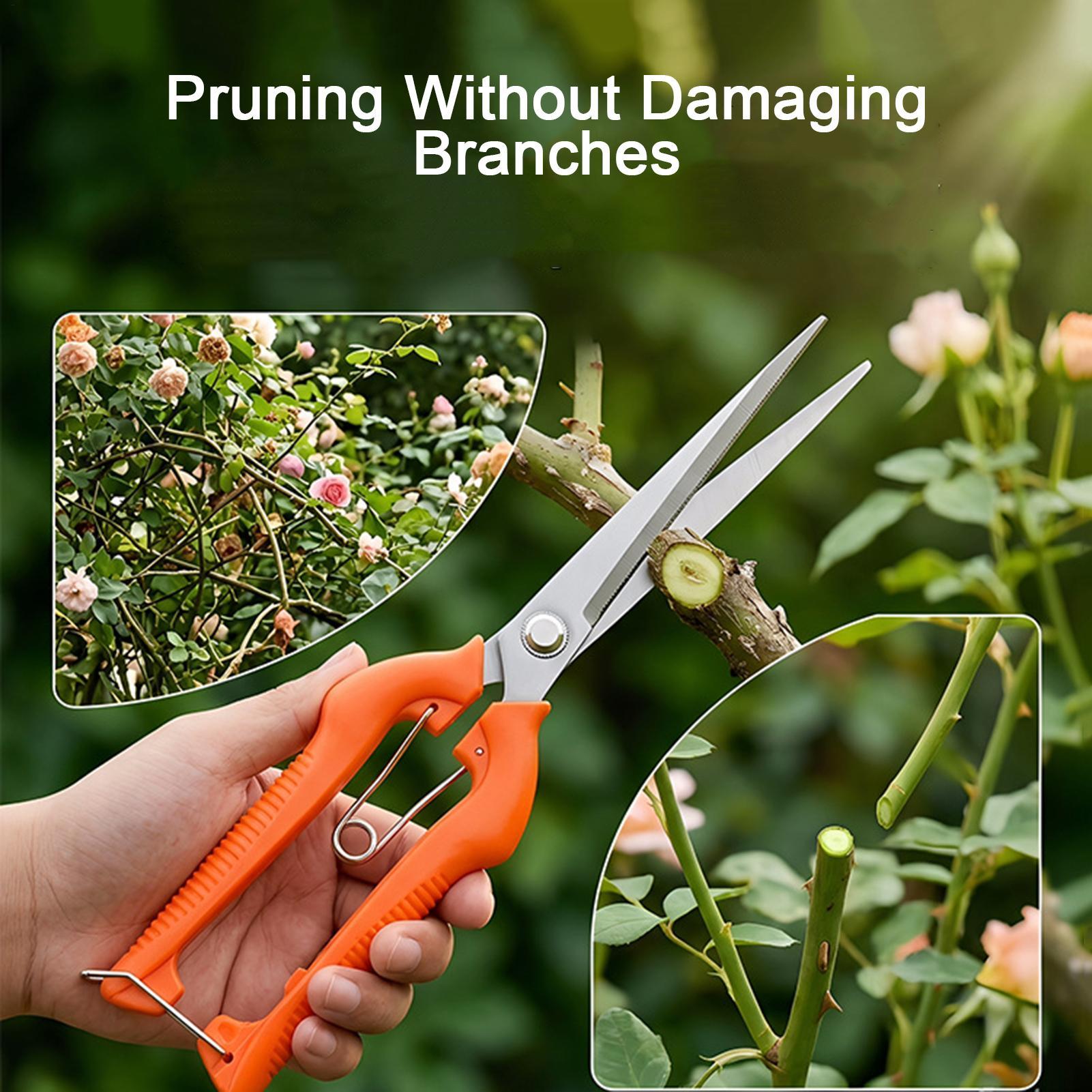 Forbici da Potatura Profession - Gardening Tools Women recensione e prezzo