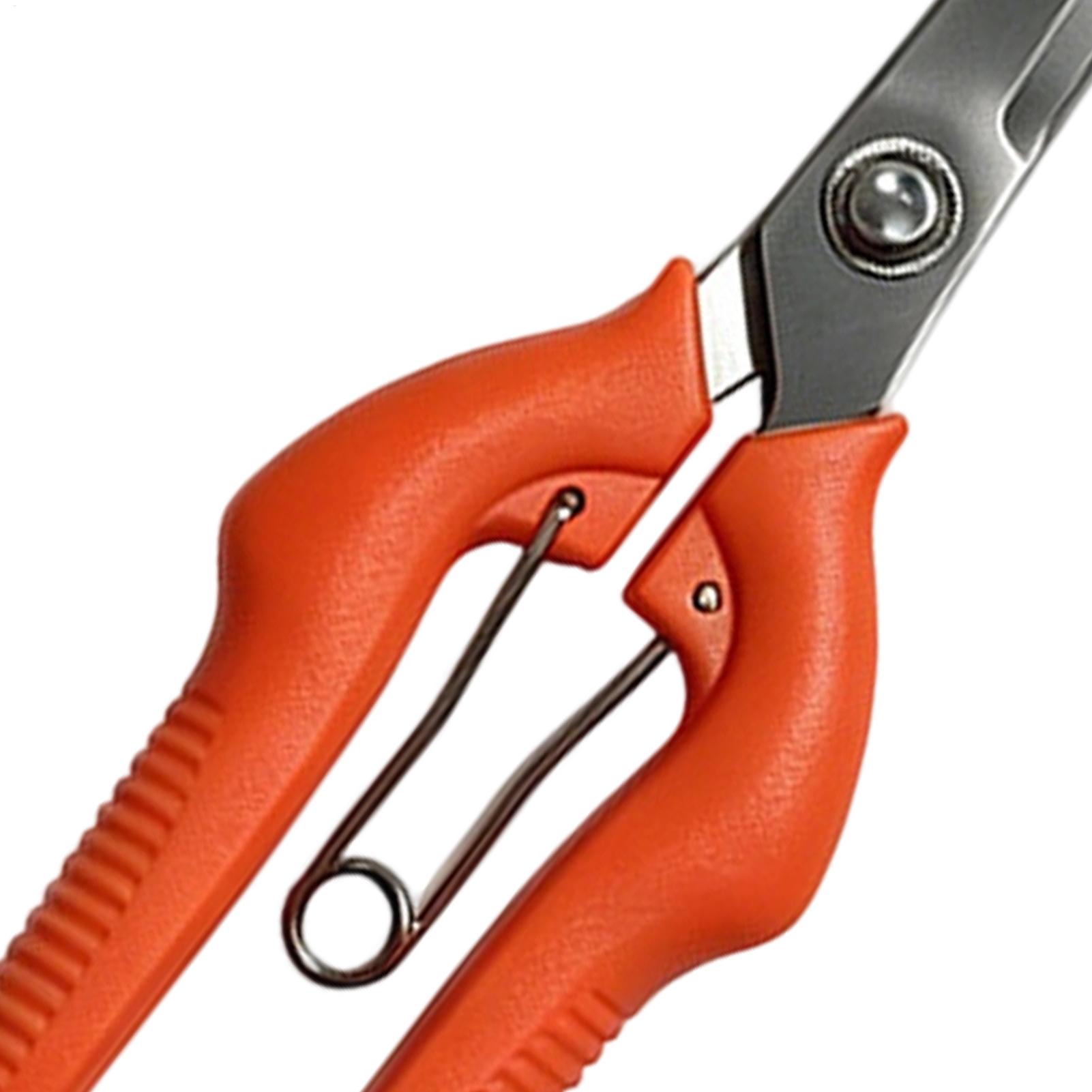 Forbici da Potatura Profession - Gardening Tools Women recensione e prezzo