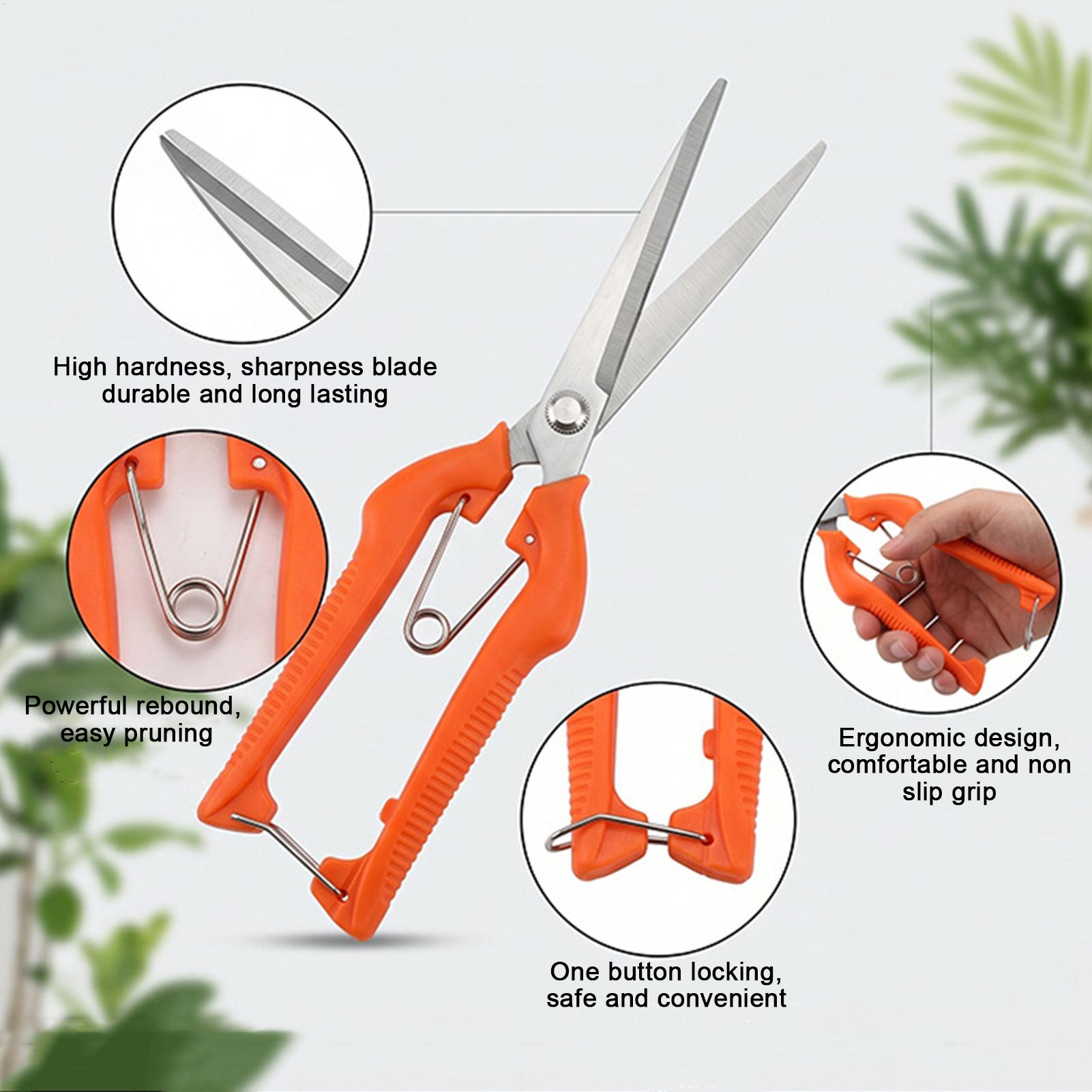 Forbici da Potatura Profession - Gardening Tools Women recensione e prezzo