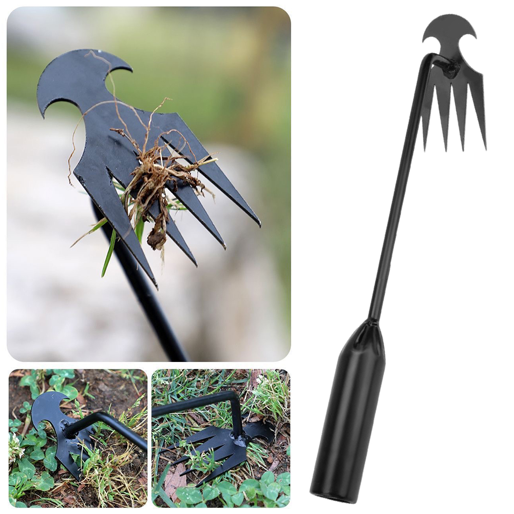 Attrezzo per zappa da giardino - Grass Seed Spreader recensione e prezzo