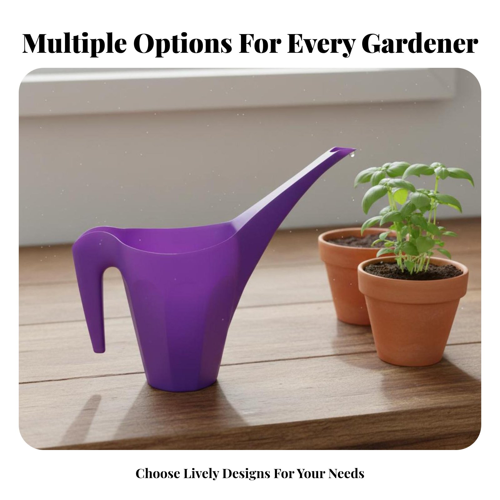 Annaffiatoio in Plastica con T - Watering Can Long Spout recensione e prezzo