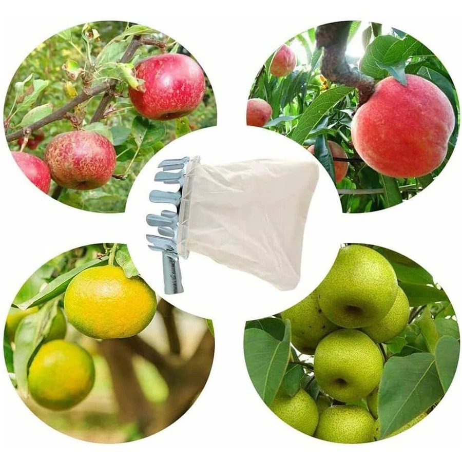 Robusto Cesto Raccoglitore di  - Gardening Tools Basket recensione e prezzo