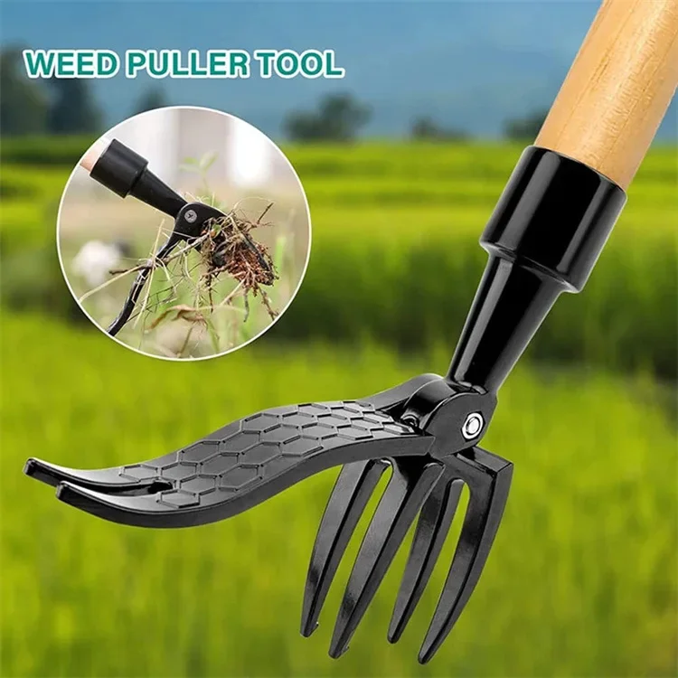 Stand Up Weed Puller Tool con  - Grass Seed Spreader recensione e prezzo