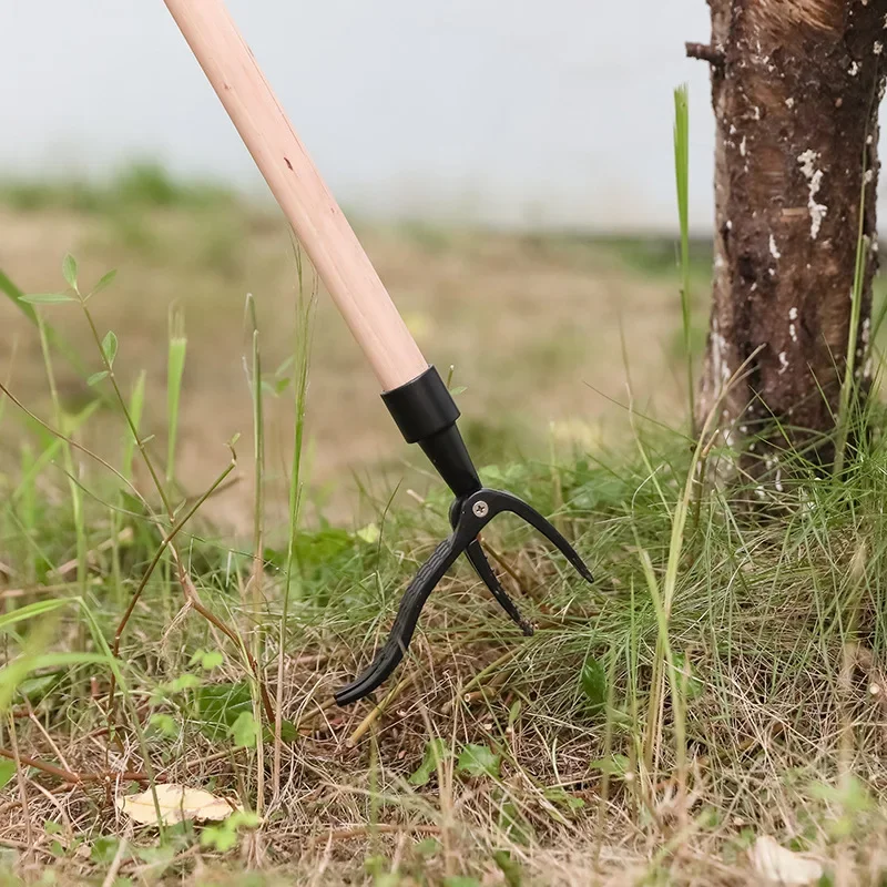 Stand Up Weed Puller Tool con  - Grass Seed Spreader recensione e prezzo