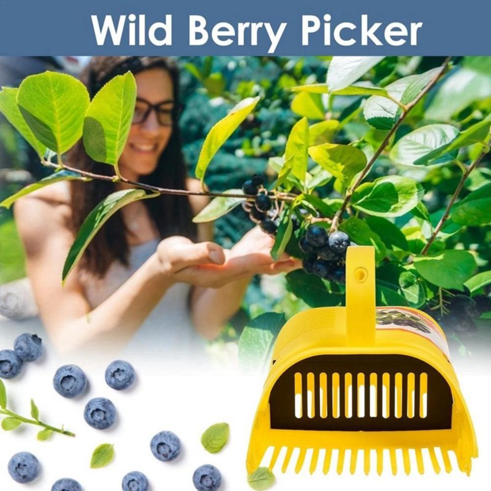 Raccoglitore Portatile per Mir - Gardening Tools Basket recensione e prezzo