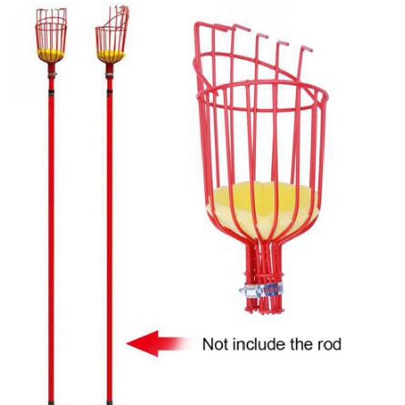 Raccogli Frutta Profondo Porta - Gardening Tools Basket recensione e prezzo