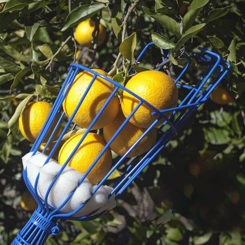 Raccogli Frutta Profondo Porta - Gardening Tools Basket recensione e prezzo