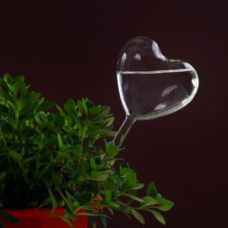 Casa/giardino acqua pianta da  - Gardening Tools Equipment recensione e prezzo