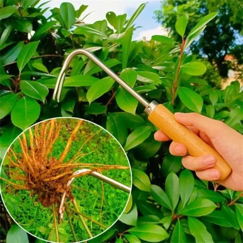 Diserbatore da giardinaggio in - Grass Seed Spreader recensione e prezzo