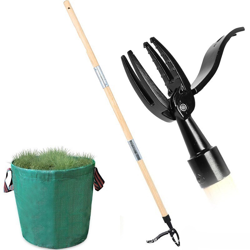 Strumento per estrattore di er - Grass Seed Spreader recensione e prezzo