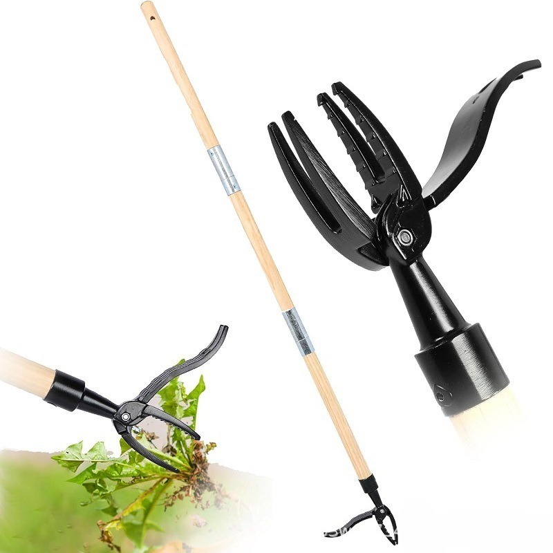 Strumento per estrattore di er - Grass Seed Spreader recensione e prezzo