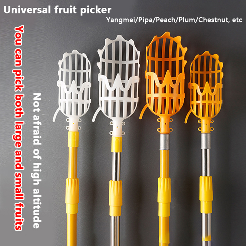 Attrezzo per la Raccolta di Lo - Gardening Tools Basket recensione e prezzo
