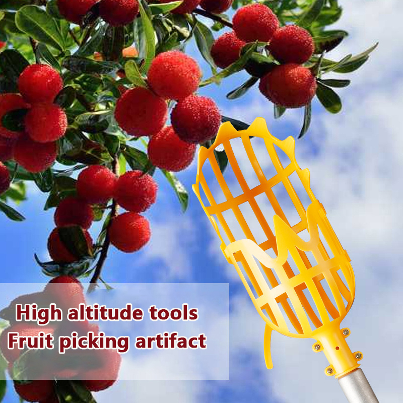 Attrezzo per la Raccolta di Lo - Gardening Tools Basket recensione e prezzo