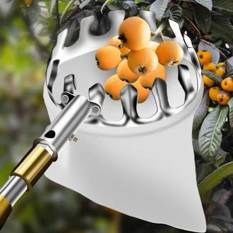 Raccogli Frutta Professionale: - Gardening Tools Basket recensione e prezzo