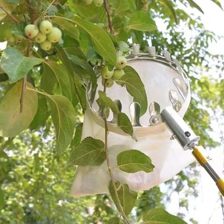 Raccogli Frutta Professionale: - Gardening Tools Basket recensione e prezzo