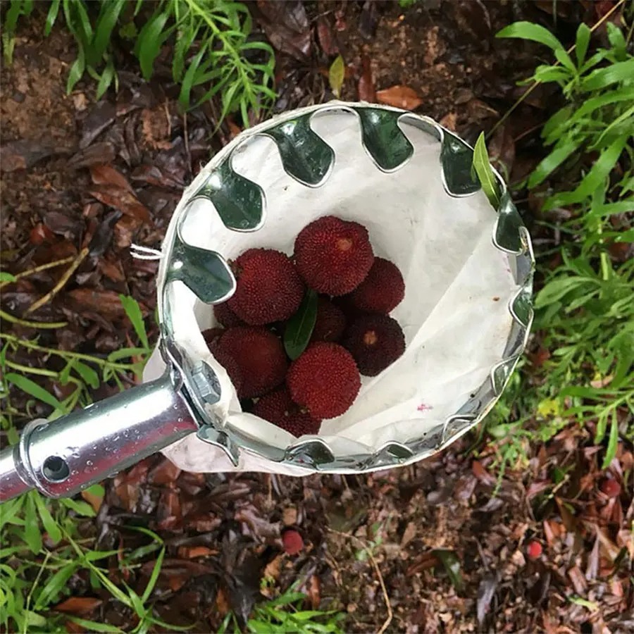 Raccogli Frutta Professionale: - Gardening Tools Basket recensione e prezzo