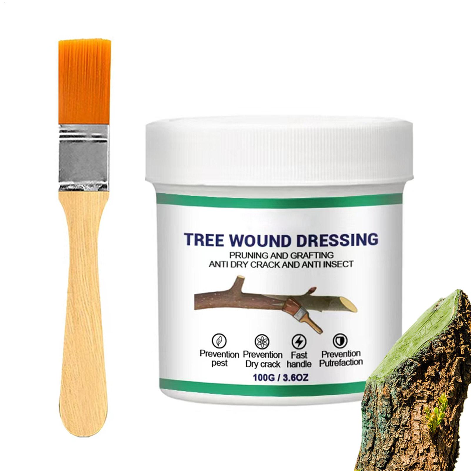 Pasta per Innesto Alberi, Past - Gardening Tools Women recensione e prezzo