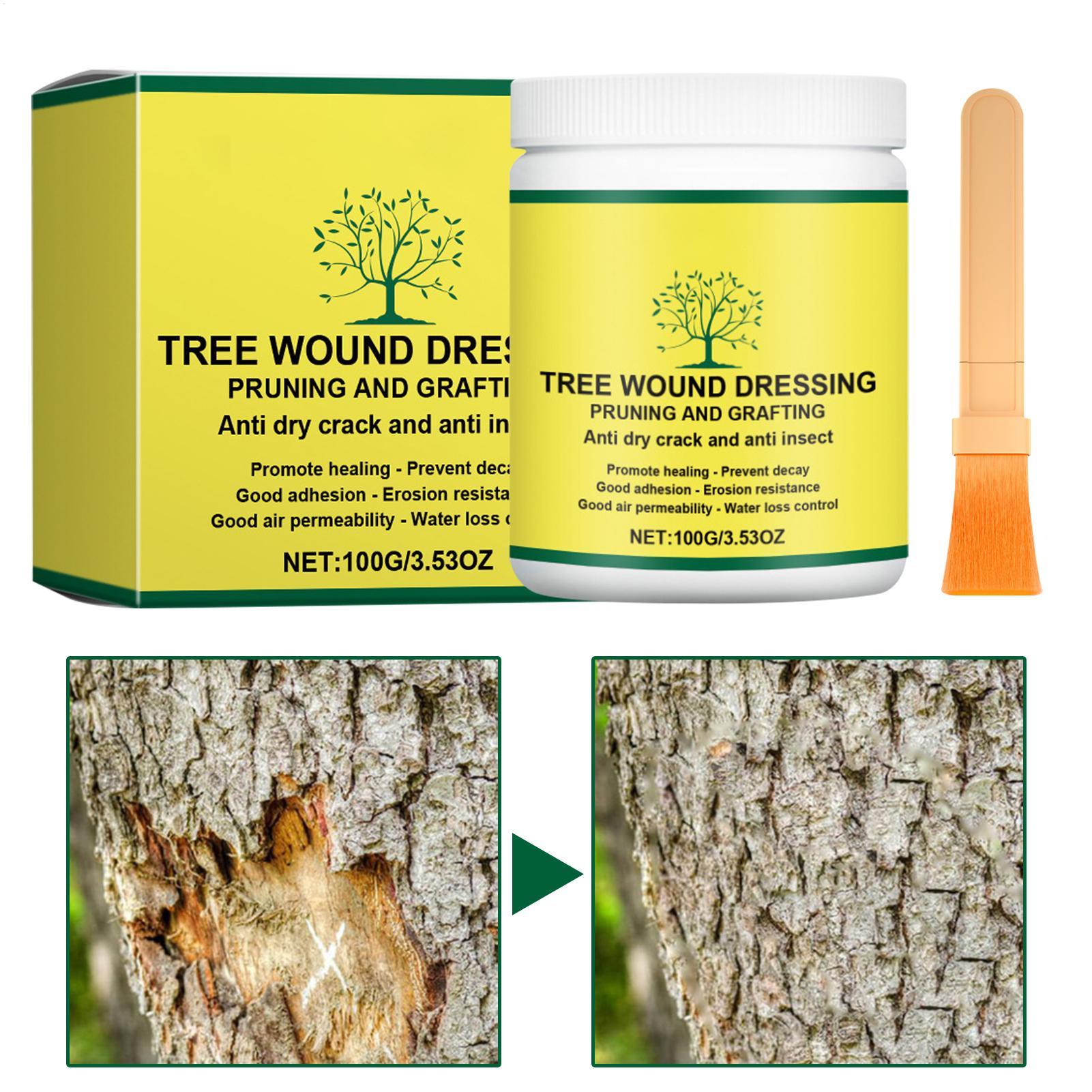 Pasta per Innesto Alberi, Past - Gardening Tools Women recensione e prezzo