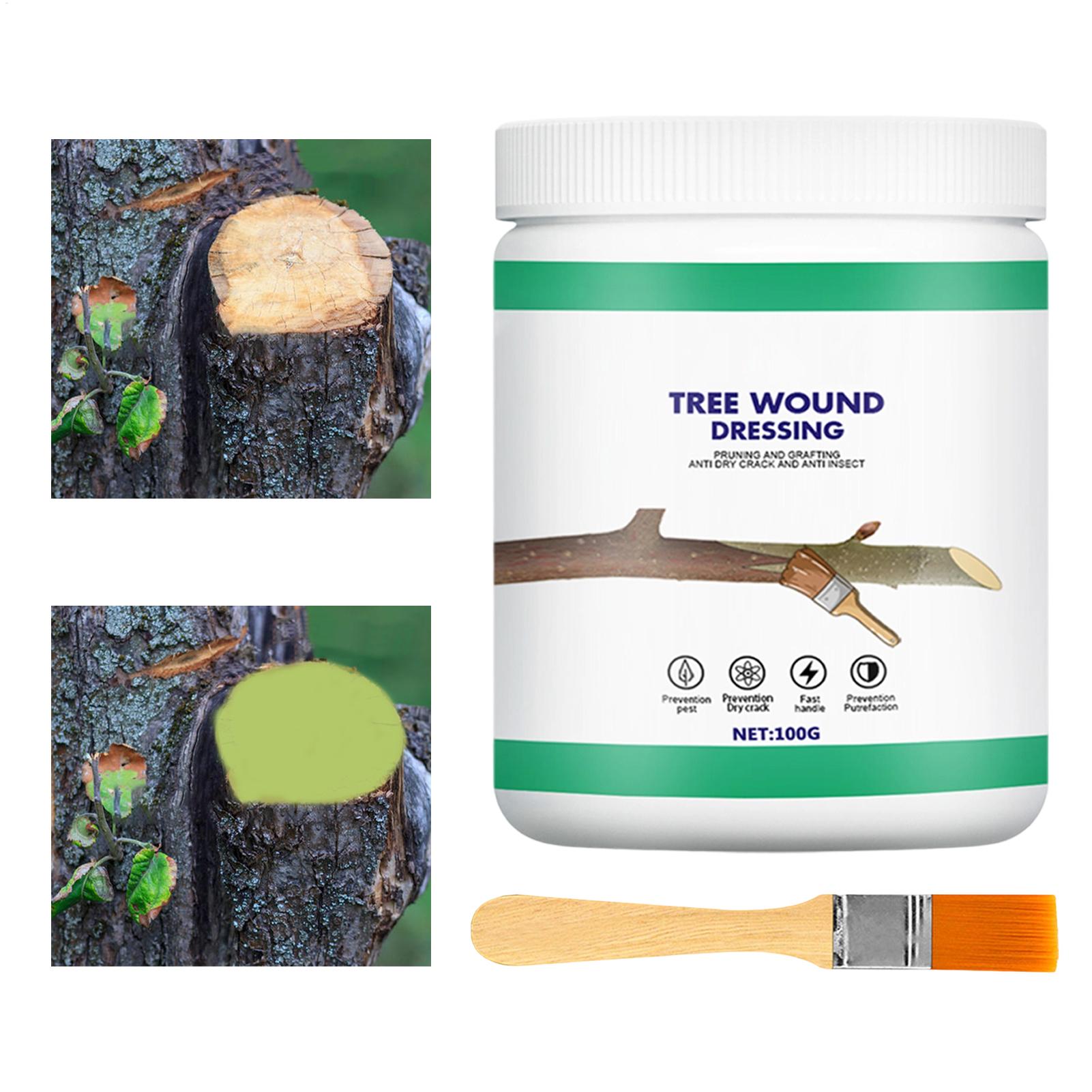 Pasta per Innesto Alberi, Past - Gardening Tools Women recensione e prezzo