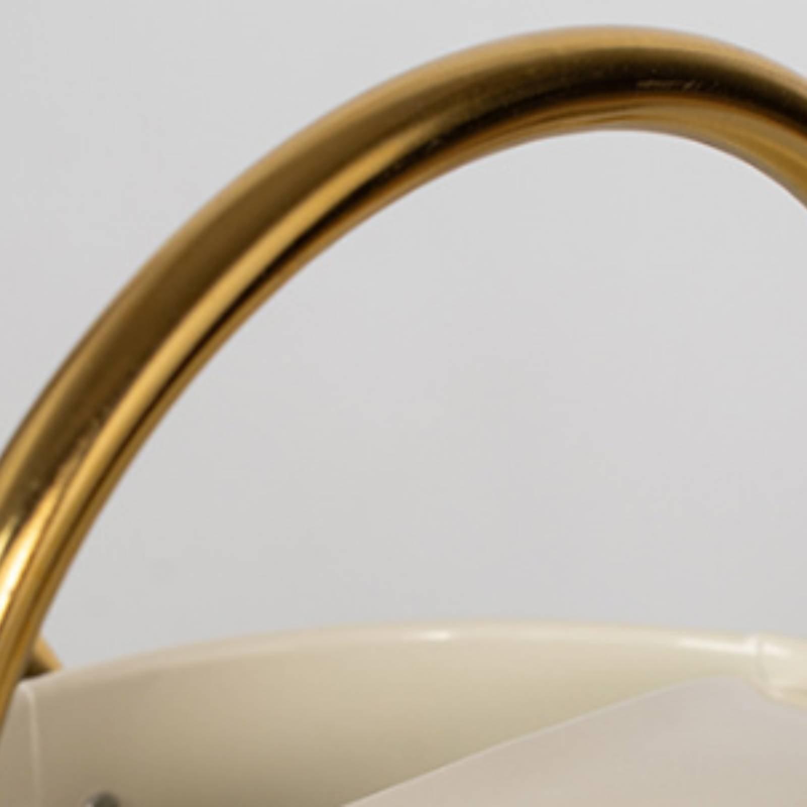 Annaffiatoio con beccuccio lun - Watering Can Long Spout recensione e prezzo