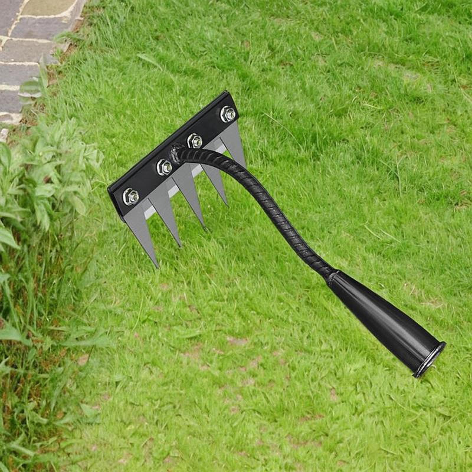 5/6/7/8 Tette Strumento per di - Grass Seed Spreader recensione e prezzo