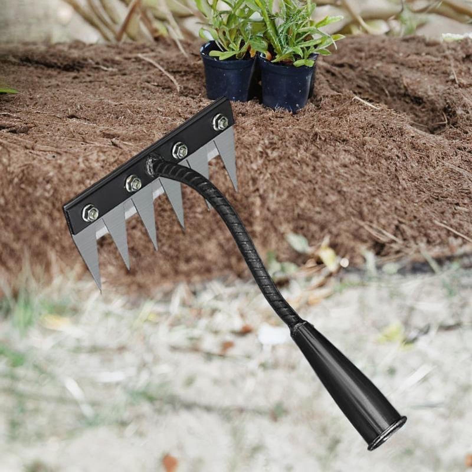 5/6/7/8 Tette Strumento per di - Grass Seed Spreader recensione e prezzo