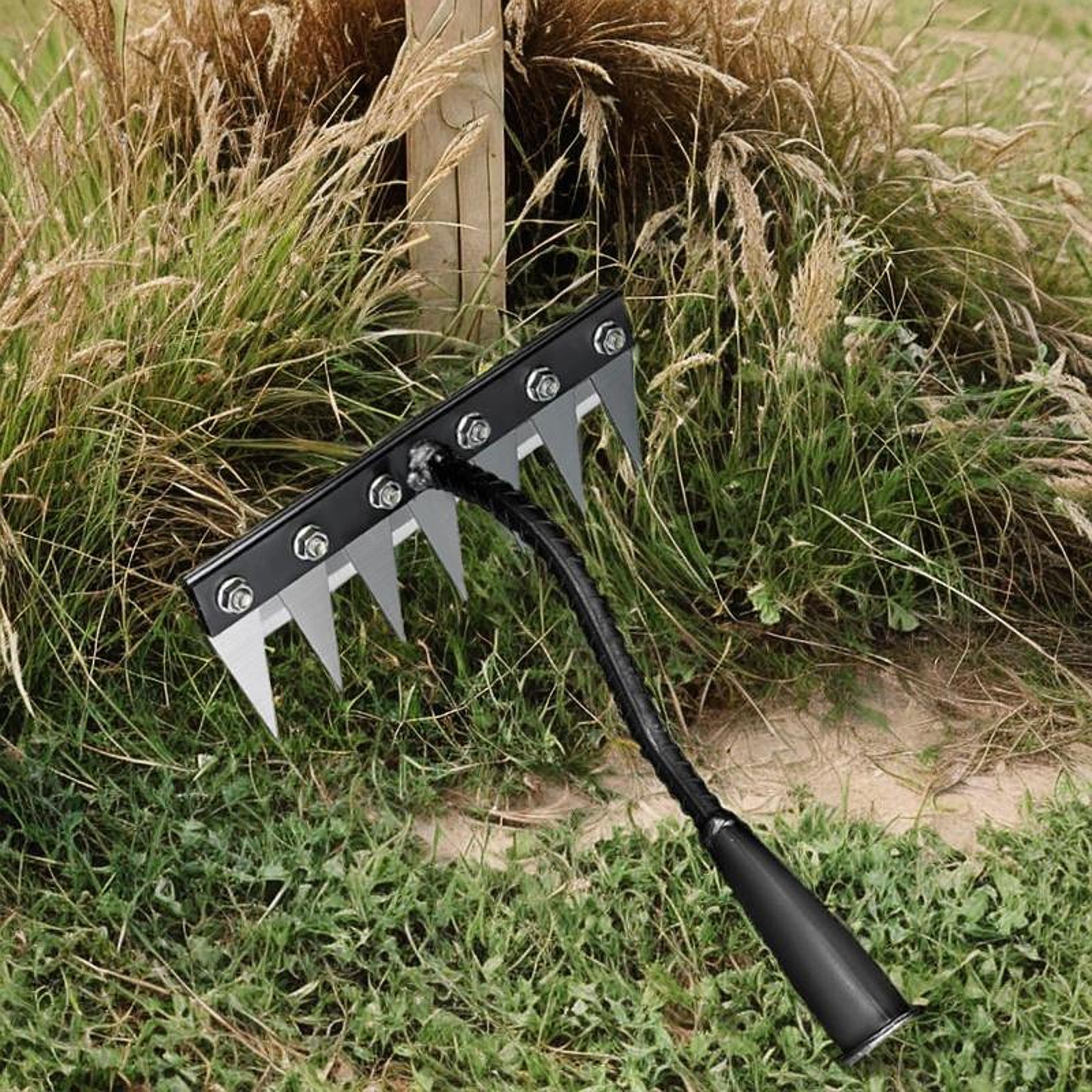 5/6/7/8 Tette Strumento per di - Grass Seed Spreader recensione e prezzo